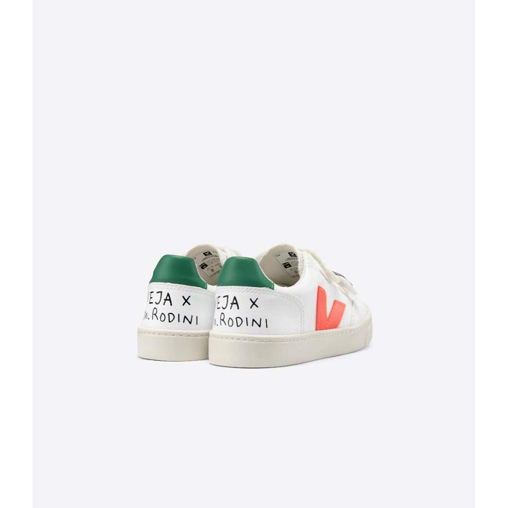 Veja V-12 CWL MINI-RODINI RABBIT Schoenen Kinderen Wit | BE 807SGL